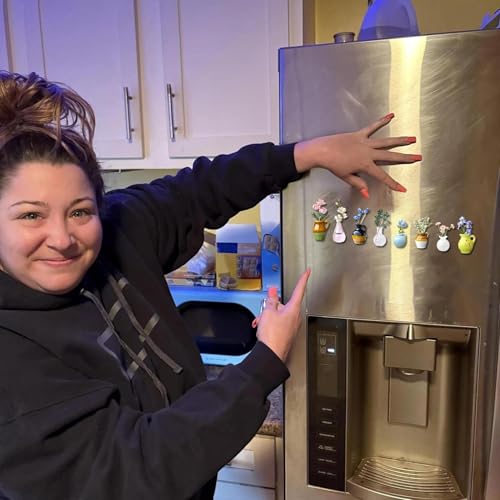 Aimants pour frigo puissants : ne perdez plus vos notes sur vos tableaux
