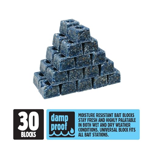 The Big Cheese All-Weather Block Bait - 10g x 30 Kills Mice and Rats Damp-Proof, Weather-Resistant, Blue Difenacoum - Image 3