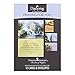 DaySpring - Thomas Kinkade Painter of Light - 4 Design Assortment with Scripture - 12 Praying for You Boxed Cards & Envelopes (83159)