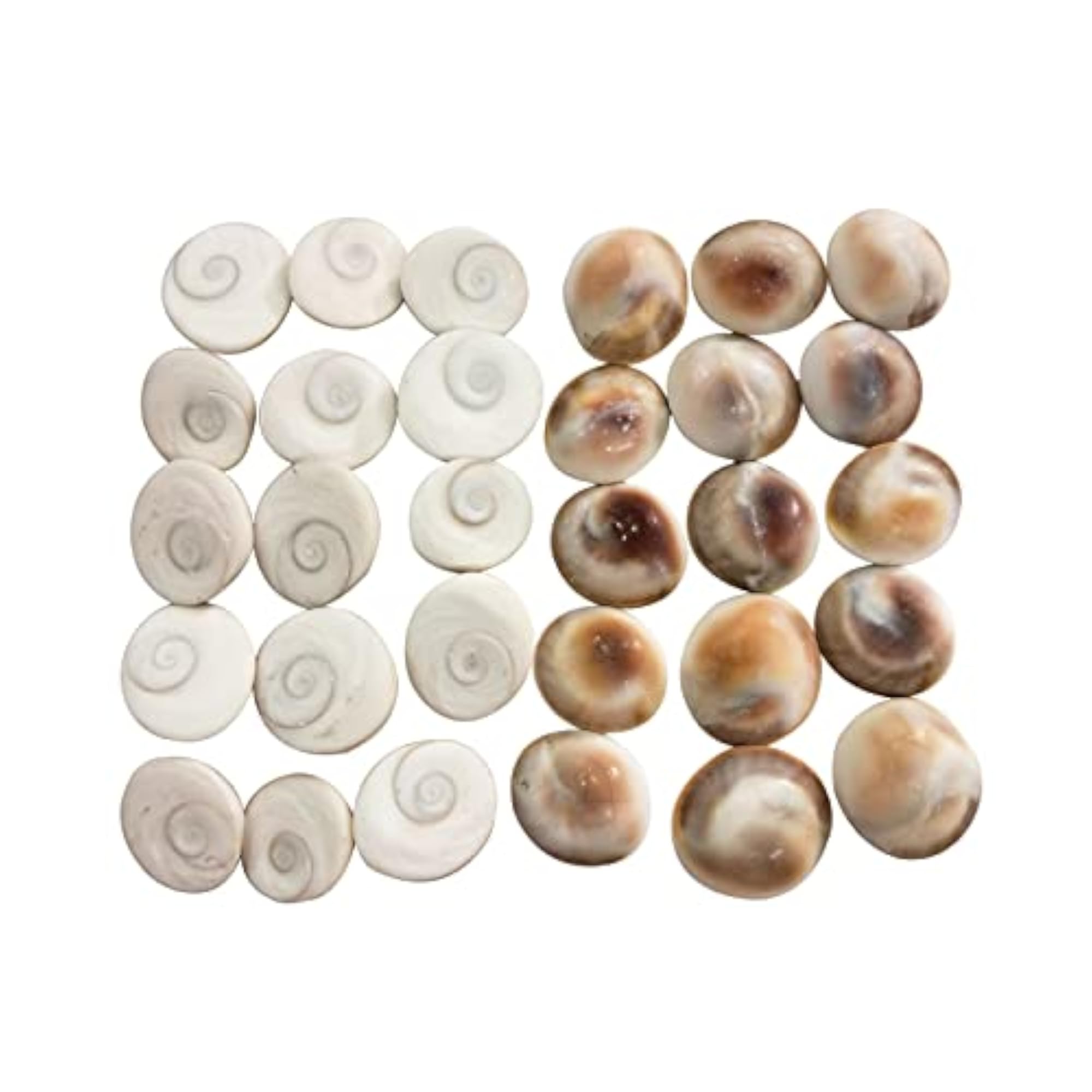 11 Pieces Gomati Chakra Natural Stone Set