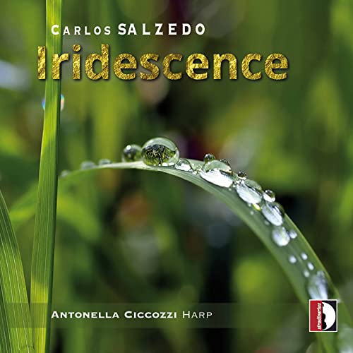 Salzedo Iridescence