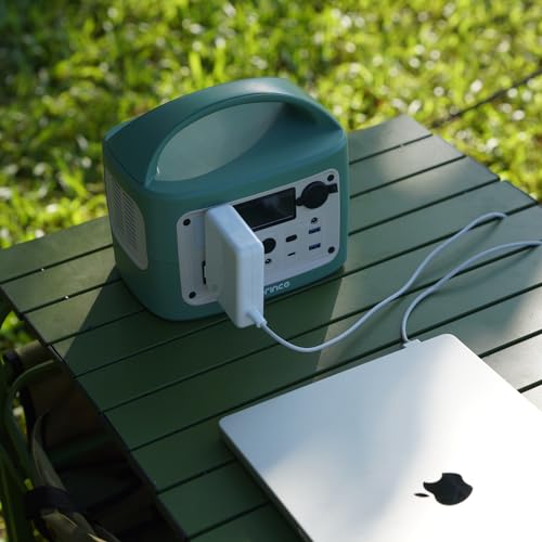 Portable Power Station, 300Wh Backup Lithium Battery,110V/300W Pure Sine Wave AC Outlet for Outdoors Camping Travel Hunting Blackout - Image 6