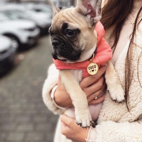 Hundemarke mit Gravur personalisiert | Namensanhänger mit Telefonnummer, Adresse | verschiedene Handschriften & Motive | Gold, Silber, Roségold | für Hunde Halsband, Geschirr, Leine, Geschenk