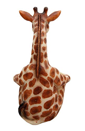 Ebros Gift Safari Adorable Giraffe Far Reach Salt And Pepper Shakers Holder Figurine With Glass Shakers Kitchen Dining Home Decor Sculpture Table Top Bar Centerpiece Figurine For Fans Of Giraffes thumb #3