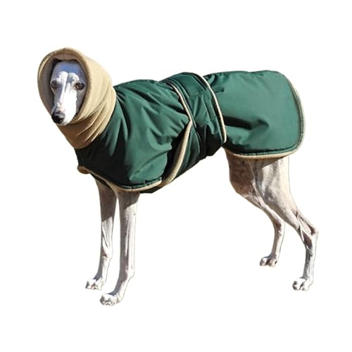 g茢 hpR[gWPbg ^ ^ OCnEh EtnEh VFp[h (Verde,4XL)