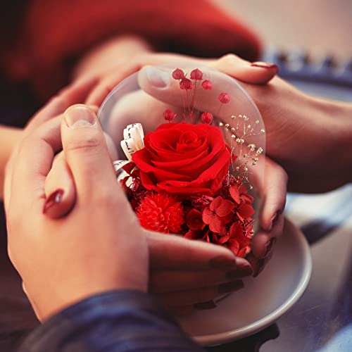 TGELATA Preserved Flowers Gift for Her, Fresh Red Rose Birthday Gifts for Women, Mom, Forever Roses in Glass Dome, Preserved Rose Romantic Love Gifts for Mother’s Day Christmas Valentines