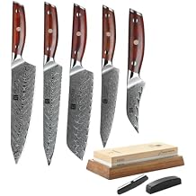 XINZUO 5 Pcs Professional Chef Knife Set with Extra Large Whetstone,67 Layers Damascus Steel Kitchen Knife Set with Sharpening Stone-Dual Grit