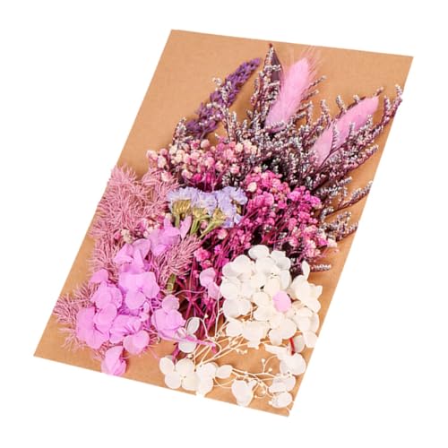 Flores secas prensadas para manualidades 1 bolsa miniatura 1