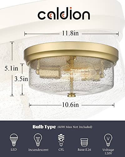 Caldion Close To Ceiling Light Fixtures, 12Inch Flush Mount Ceiling Light, Metal Gold Finish With Handmade Seeded Smoky Glass Shade,6872Fm-Gd-Smoky #TOP1
