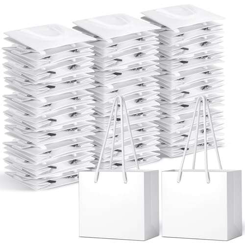 IANFAN nht~jMtgobO 100 zCg 4.7 x 3.9 x 2.4C` GNXgX[ Mtgbv y[p[obO X[rWlXp[eB[  xr[V[ a NX}X Mtgbv