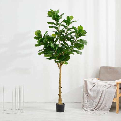 ウンベラータ 観葉植物 170cm」の人気商品一覧 | 安い商品を通販サイト