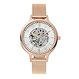 Skagen Women's Anita Quartz Stainless Steel Mesh Casual Watch