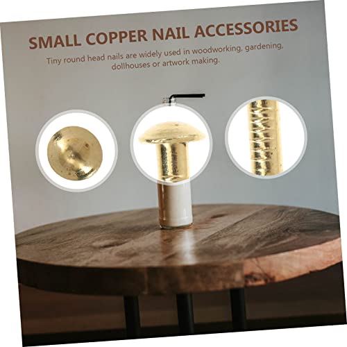 Clavos de cabeza redonda de cobre puro, surtido de 285 piezas para muebles miniatura 7