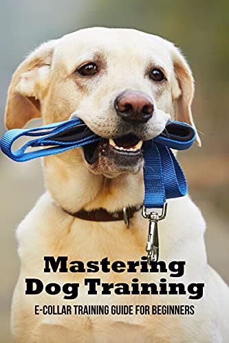 e collar training guide
