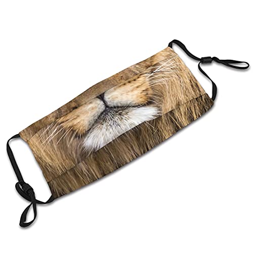 Fanzz Cool Lion Face Mask With 2 Filters, Animal Face Masks Washable Reusable Balaclava For Men Women #TOP5
