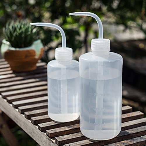 Opiniones y reviews de Plantas suculentas precio los más recomendados. 14 Imagen adicional