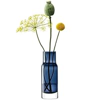 LSA エルエスエー フラワーベース ガラス 花器 花瓶 ブルー コバルトブルー 41mInAqG7RL._SS200_.jpg