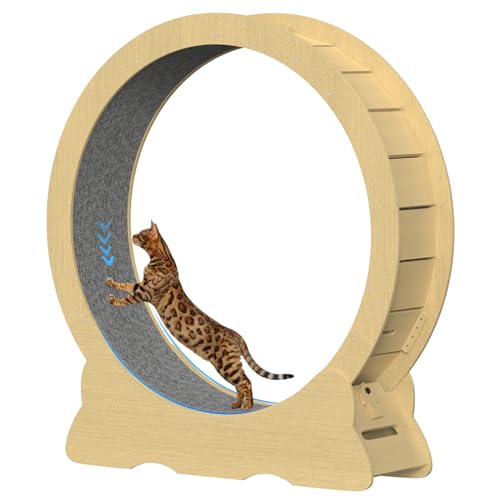 Rueda de Correr para Gatos de 100cm de Madera