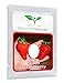 Giant Strawberry Seeds 100Pcs / BIG Red Strawberry / Organic Seeds Garden