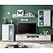 Homely - Mueble de Salón Modular - EsCanar | Conjunto 4 Muebles | Muebles Salón Completo | Mueble para Televisión + Mueble Bajo + Mueble Alto + Estantería Alta | Color Gris Cemento y Blanco