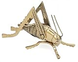 GSM Solid Brass Cricket ~ Fireplace Crickets on The Hearth