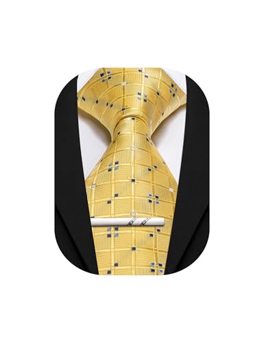 Image of Barry.Wang Plaid Ties Mens Silk Necktie and Tie Clip Checkered Tie for Wedding Party Business Formal