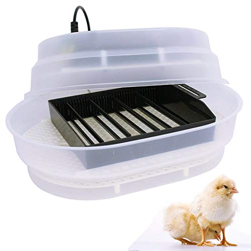 Smartxchoices Digital Mini Egg Incubator 9-12 Eggs with Fully Automatic Turning Humidity Control Poultry Hatcher for Chickens Ducks Goose Birds
