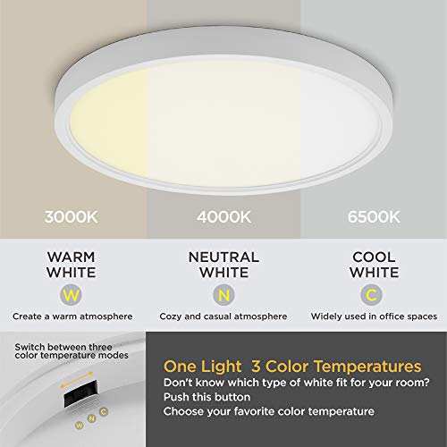 Taloya 2 Pack 12 Inch Led Flush Mount Ceiling Light Fixture For Living Room Basement Closet Hallway Laundry Room Porch,20W Equivs To 200W 3000K/4000K/6500K #TOP1