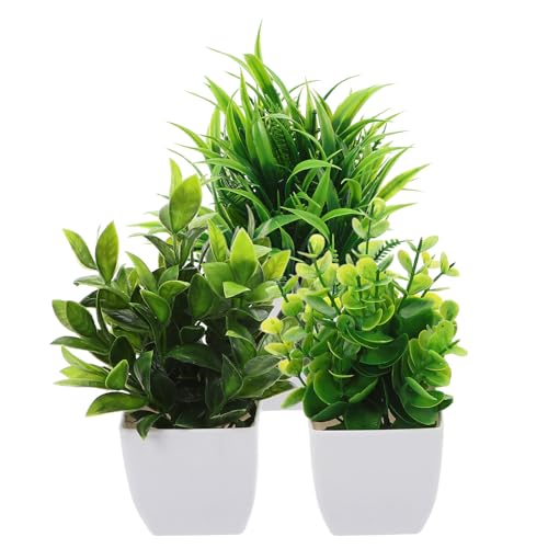 SHINYPASING 3 ^lHA_ AȎŎRȔo ptFCNO[ z[ Lb` ItBX̃CeA