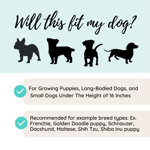 Stella And Bear Cozy Boost Premium Quality Dog Car Booster Seat With Seat Belt Tether For Small Dogs, Puppies, And Pets (Modern Grey) #TOP2