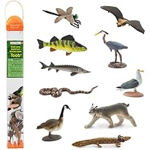 Safari Ltd. Great Lakes TOOB - Figurines of Mudpuppy, Dragonfly, Water Snake, Bat, Goose, Herring Gull, Blue Heron, Lynx, Sturgeon, Yellow Perch - Educational Toys for Boys, Girls & Kids Ages 3+