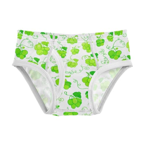 Fruit Grape Toddler Boy's Underwear 2T 2302208