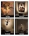 EZVALO Spotlights Indoor with Remote, 5500mAh Rechargeable Picture Lights, Wireless LED Uplighting with Timer＆Dimmable, 3CCT, Display Lights for Plant Painting, Artwork, Accent Lighting (2Pack-Black)