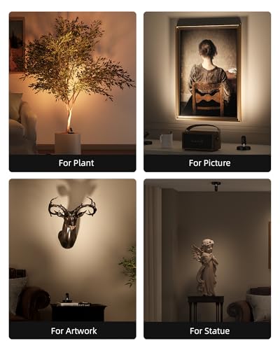 EZVALO Spotlights Indoor with Remote, 5500mAh Rechargeable Picture Lights, Wireless Uplights with Timer & Dimmable, 3-CCT, Accent Lighting for Plant, Art, Painting, Gallery, Wall Decor (2-Pack Black)