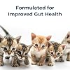 PetAg KMR Kitten Milk Replacer Liquid - 11 oz - Ready-to-Feed Kitten Formula with Vitamins for Kittens Newborn to Six Weeks Old - Easy to Digest