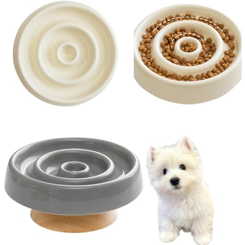 Lifetips EGXgnChzCgeA Lp X[t[h{E ؐ Hh~ ~ HZbg ^ L  􂢂₷ iؐx-X^CvO[j