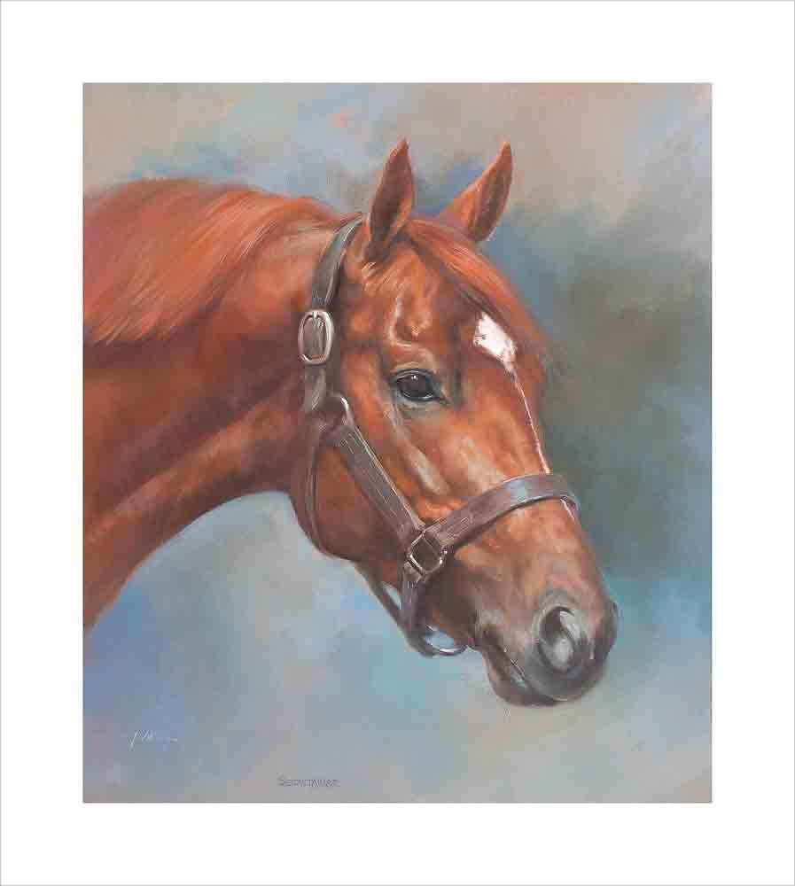 Secretariat – by Jacqueline Stanhope. A signed and numbered limited edition print on 330gsm fine art paper.