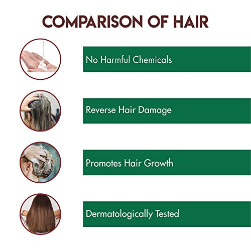 Image of Jovees Herbal Argan Kernel Oil Shampoo for Strengthen & Hair Repair, All Hair Types, Paraben & Alcohol Free, 300ml