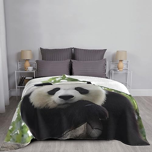 Couverture flanelle polaire ultra douce en microfibres isolantes et légères