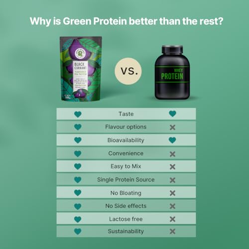 Image of GREEN PROTEIN Plant Protein Isolate Powder, Plant Protein, No Added Sugar, 100% Soy, Dairy, Gluten & Allergen Free, Black Currant Flavor, 15g Protein Per Serving, Pouch (500g)