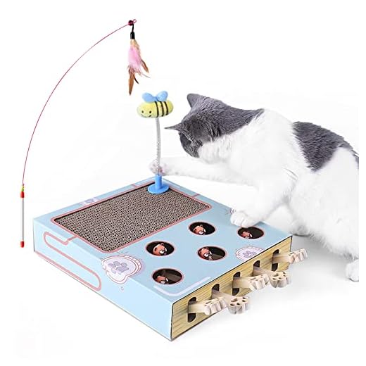 Interactive Cat Toys,Enrichment Toys for Indoor Cats,Whack a mole Toy with Scratch pad,Spring Toys with Handle Funny Cat Stick,Fun Toys for Cat Exercise