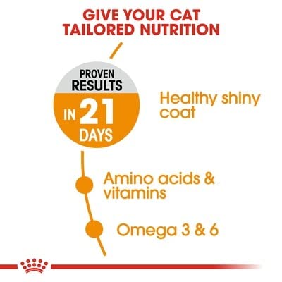 Image of Royal Canin - Royal Canin Hair & Skin 33 - 203 - 400 g.