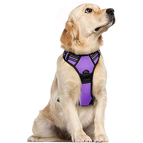 rabbitgoo Pettorina Cane Taglia Grande, Pettorina Cane ad h Regolabile con 2 Ganci in Metallo, Imbracatura per Cani Anti Tiro Riflettente, Imbracatura Traspirante per Addestramento Corsa, Viola, XL