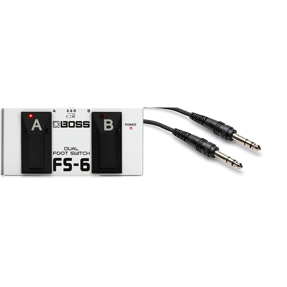 Amazon.com: Boss FS-6 Dual Foot Switch & Hosa CSS-105 1/4