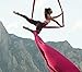 Orbsoul Aerial Silks + Yoga Hammock (Professional Grade) Includes Premium 100% Aerial Nylon Tricot Fabric Silks, Full Rigging Hardware and Easy Set-up Guide