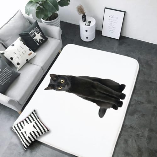 �J�[�y�b�g �L�� �˂� ���L ���킢�� �l�R ���O�}�b�g 100×150cm �O�~ �t�����l�����O ����~�ߕt ���g�[ �z�b�g�J�[�y�b�g�Ή� �t���A�}�b�g �����` ������� �k�� �_�炩�� �􂦂� �I�[���V�[�Y�� �z�[��/���r���O/�x�b�h���[��