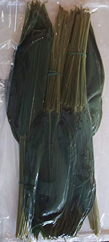 Y@XY@̗t@}t@15oio200j@Ɩp@퉷