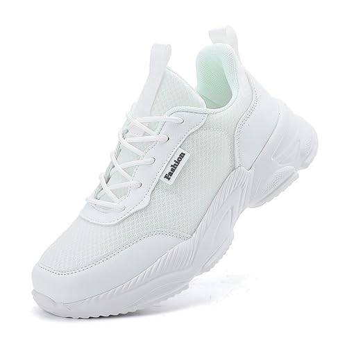 [Minax] Xj[J[ fB[X ^C ̈كV[Y w y ʋC Ȃ X|[c  ʋ ʊw  킢 2025 (zCg,23.5)