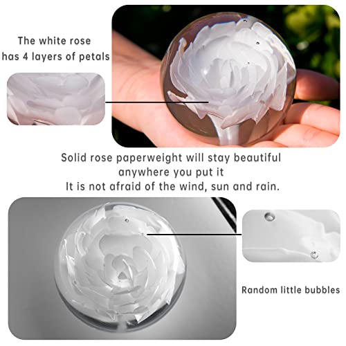 Kangming Hand Blown Rose Flower Paperweight,Glass Figurine Collectible Glass Art Craft Gift For Christmas, Birthday,Clean White Home Decor (3 Inch Pure White) #TOP1