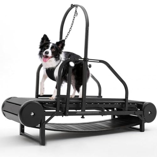 Cinta de correr para perros, ajustable, con podómetro, para perros medianos a grandes, soporta mascotas de hasta 300 libras para ejercicio y fitness